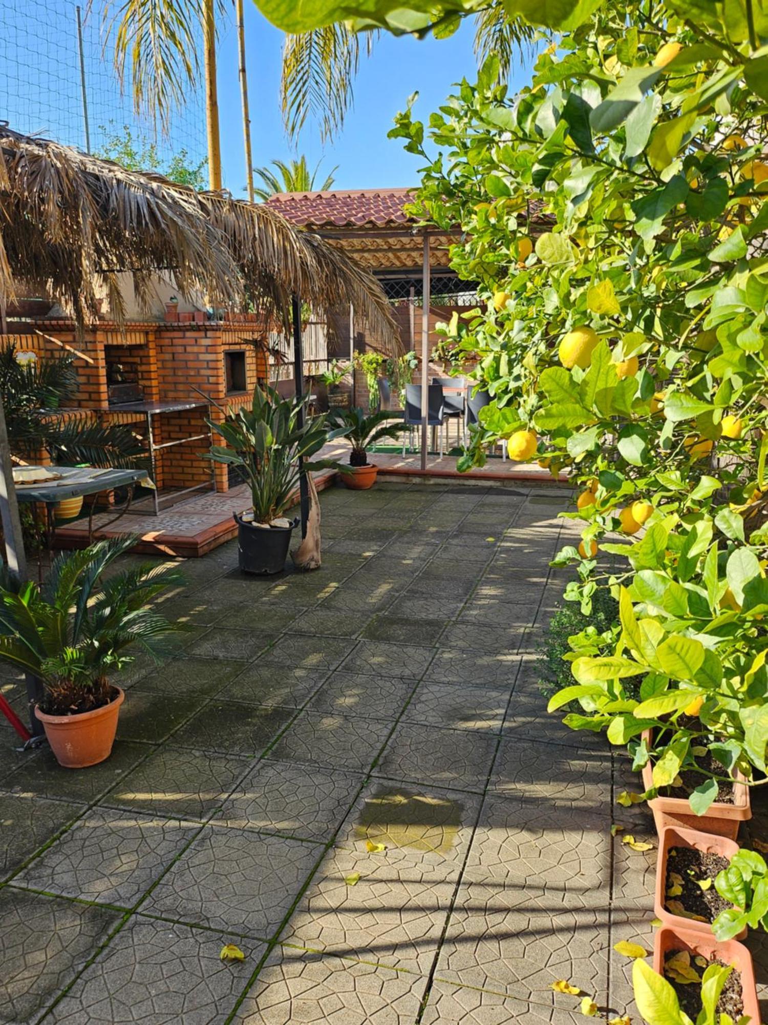 H.Ave Bed & Breakfast ปอมเปอี ภายนอก รูปภาพ